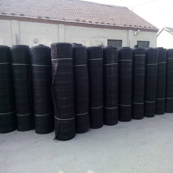 HDPE geonet factory price