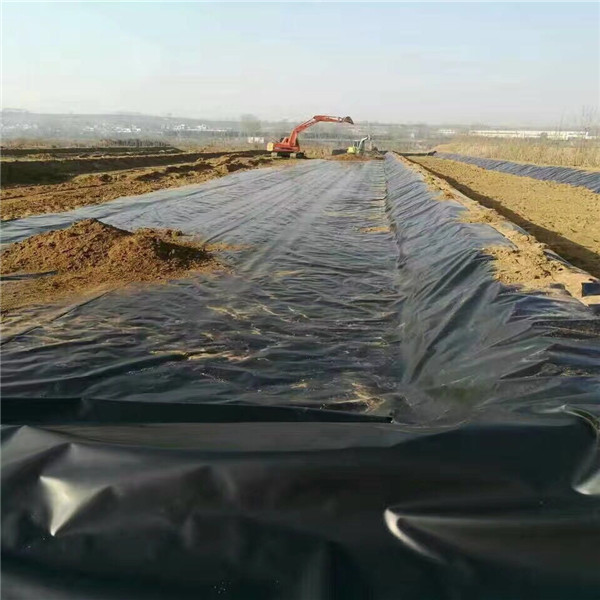 features of environmental geomembrane