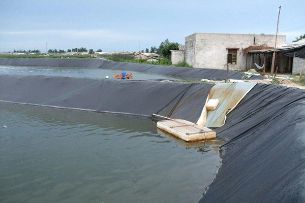 HDPE Geomembrane Used To Aquaculture