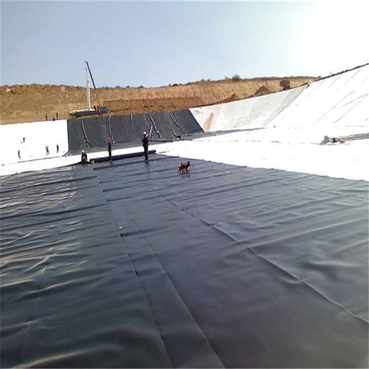 What Field is HDPE Geomembrane Suitable For?