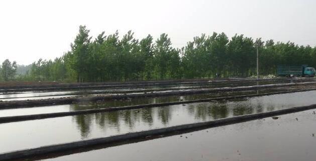 Benefits of Using Geomembrane for Aquaculture