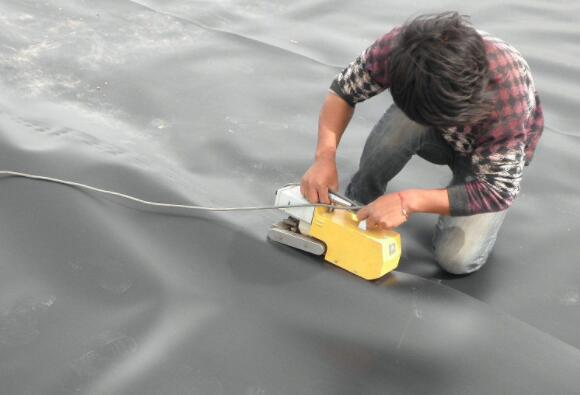 Geomembrane for Roof Waterproof Material