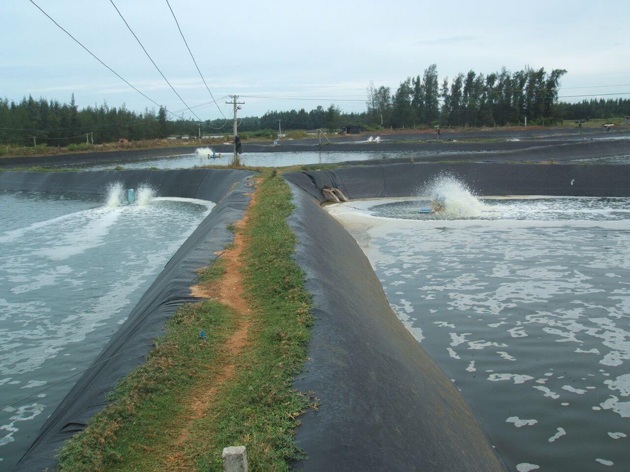 The Difference Between Geotextile and Geomembrane