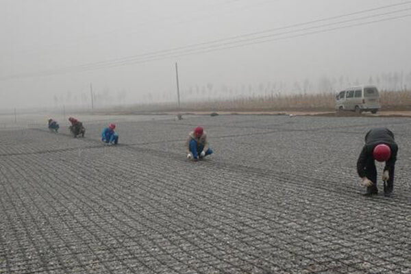 Introduction of Geogrid Reinforced Retaining Wall Technology